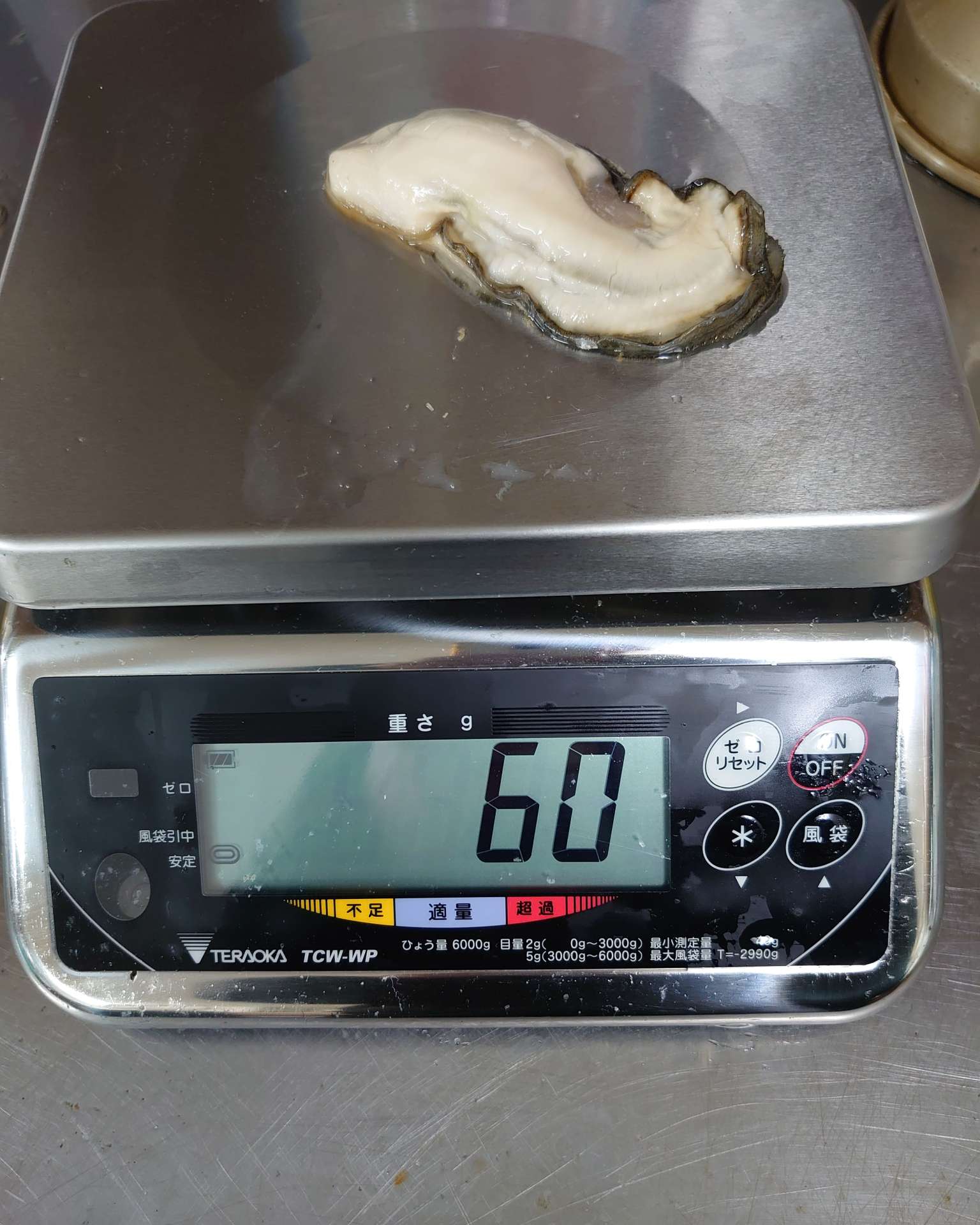 【相生牡蠣】反響反響、今年の牡蠣は間違いない｜竹内水産