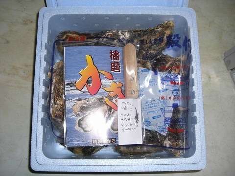 殻付き牡蠣 1kg